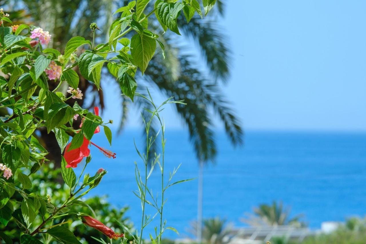 לה קאלה דה מיחאס Beautiful Torreoceano 92, Pool, Beach Access מראה חיצוני תמונה
